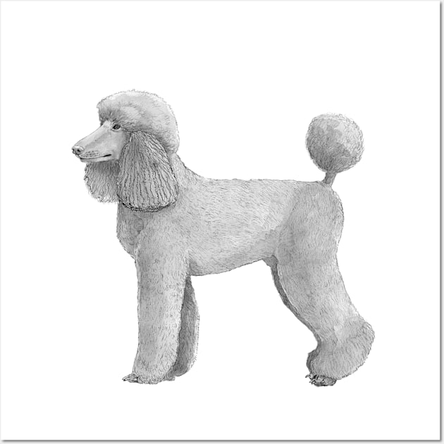 Poodle standard - abricot Wall Art by doggyshop